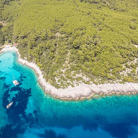 Sofia Zavalatica * Čara