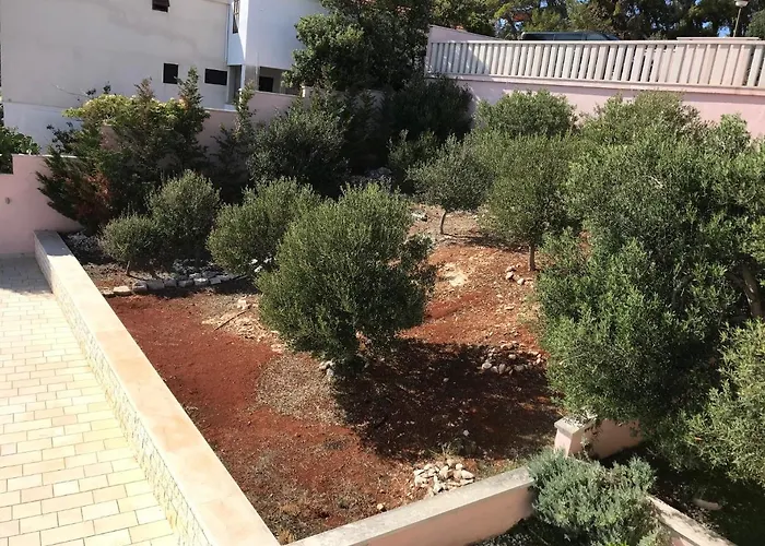 Sofia Zavalatica Vila *