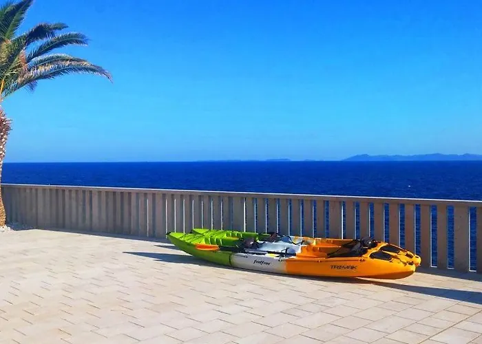 Sofia Zavalatica * Cara