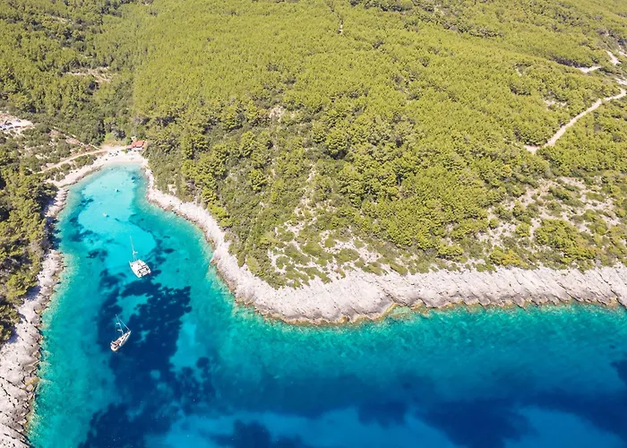 Sofia Zavalatica * Cara